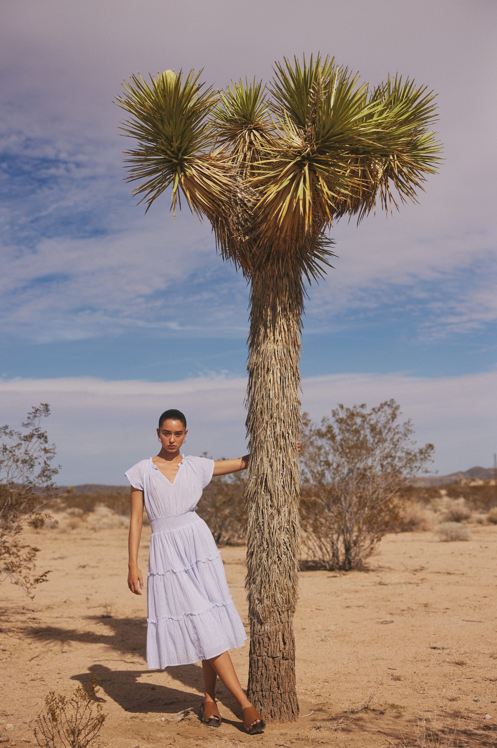 AMELLIA CINO STRIPE DRESS - FULL FRONT BODY