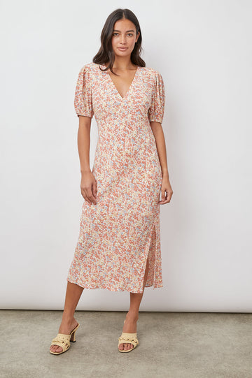 SHELLEY MULTI WILDFLOWER DRESS- FULL FRONT BODY